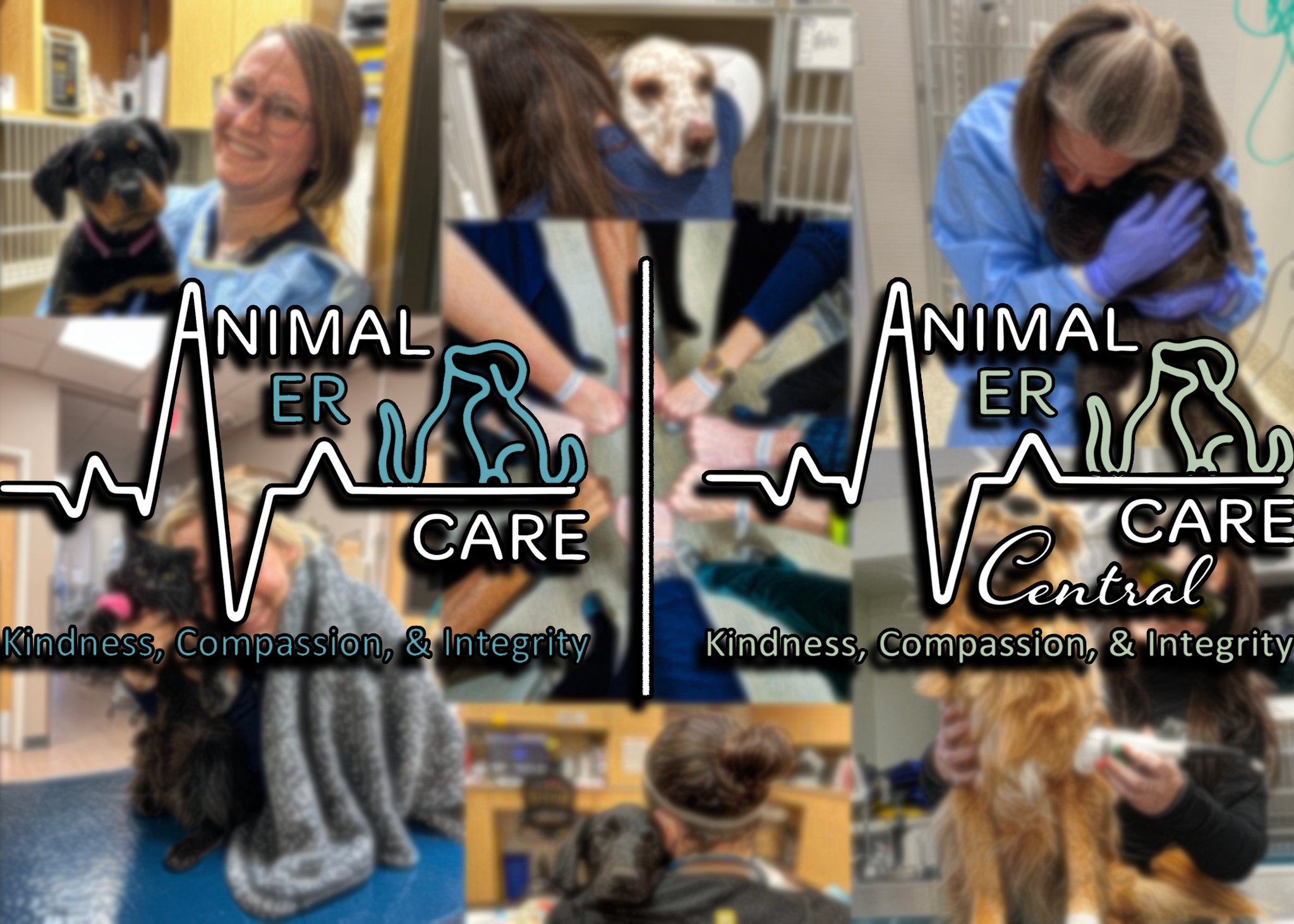 Animal ER Care Selected as Finalist for Colorado Companies to Watch