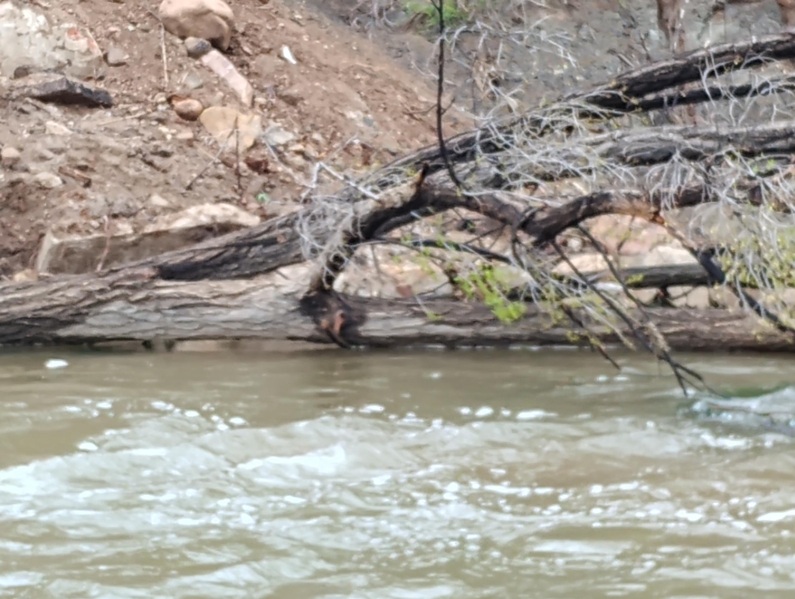 River where Milo fell River where Milo fell