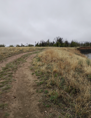 Trail where Milo fell Trail where Milo fell