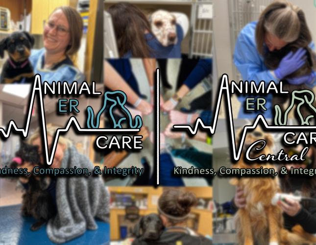 Animal ER Care Selected as Finalist for Colorado Companies to Watch