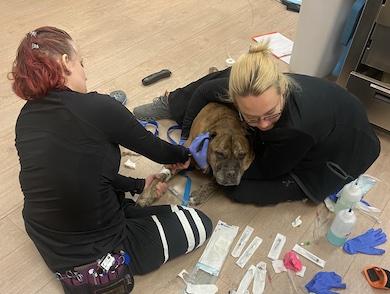 Urgent and Critical Care